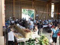 /album/bilder/halle2-jpg/