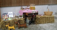 /album/bilder/p8010542-jpg/
