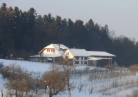 /album/bilder/p2071374-jpg/