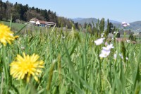 /album/bilder/dsc-0161-jpg1/
