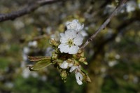 /album/bilder/dsc-0251-jpg/