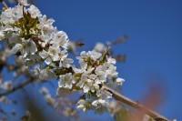/album/bilder/dsc-0264-jpg/