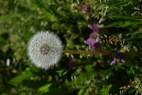 /album/bilder/dsc-0442-jpg/