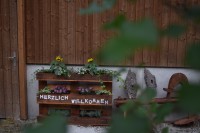 /album/bilder/dsc-0527-jpg1/