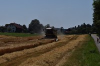 /album/bilder/dsc-0611-jpg/